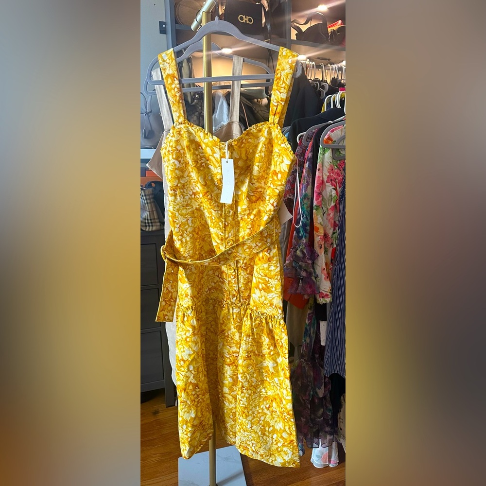 Rebecca Vallance Dress NWT